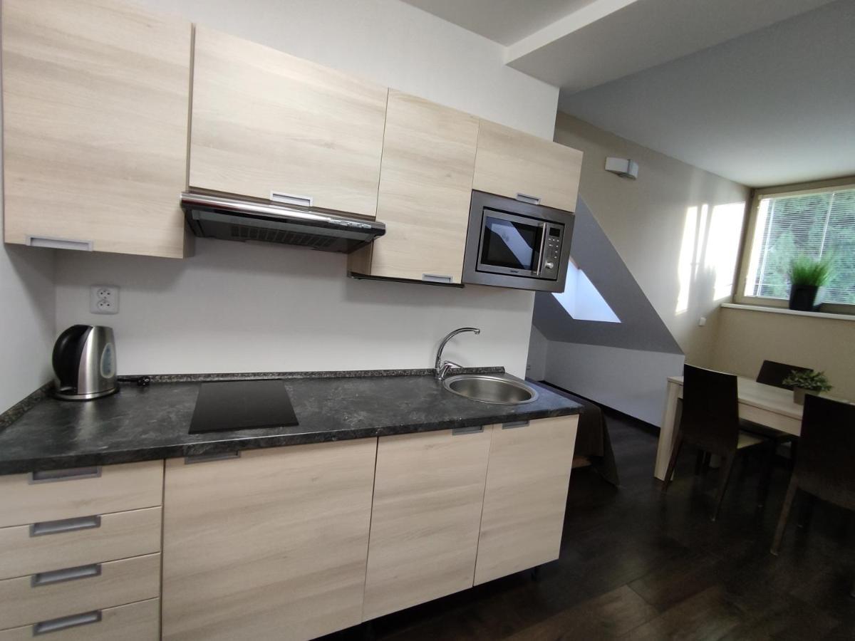 Anensky Apartman C303 - S O2 Tv A Stabilni Rychlou Wifi, S Moznosti Dokoupeni Bufetovych Snidani - By Relax Harrachov Exteriör bild