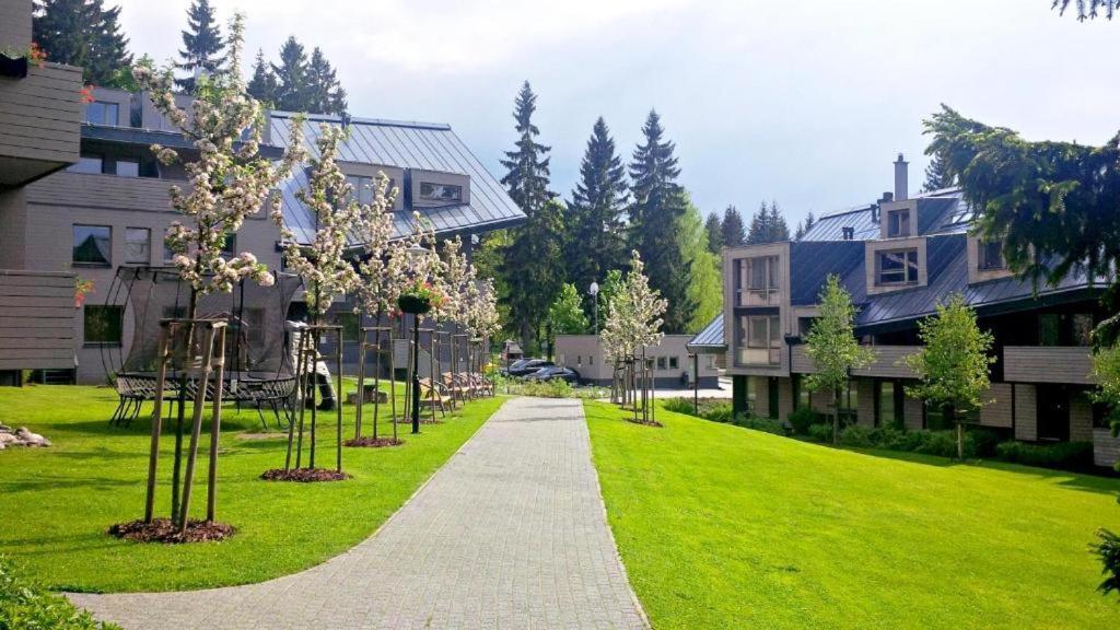 Anensky Apartman C303 - S O2 Tv A Stabilni Rychlou Wifi, S Moznosti Dokoupeni Bufetovych Snidani - By Relax Harrachov Exteriör bild